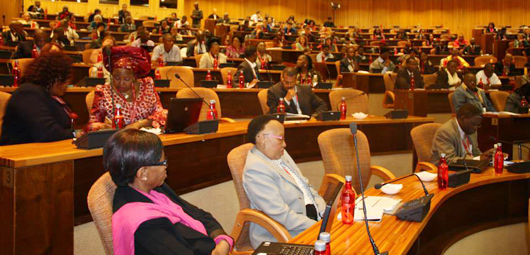 Participants, including Francophone participants, at the Africa Library Summit
