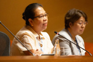 Elvira Lapuz (Philippines) speaking at the UN ESCAP Seminar